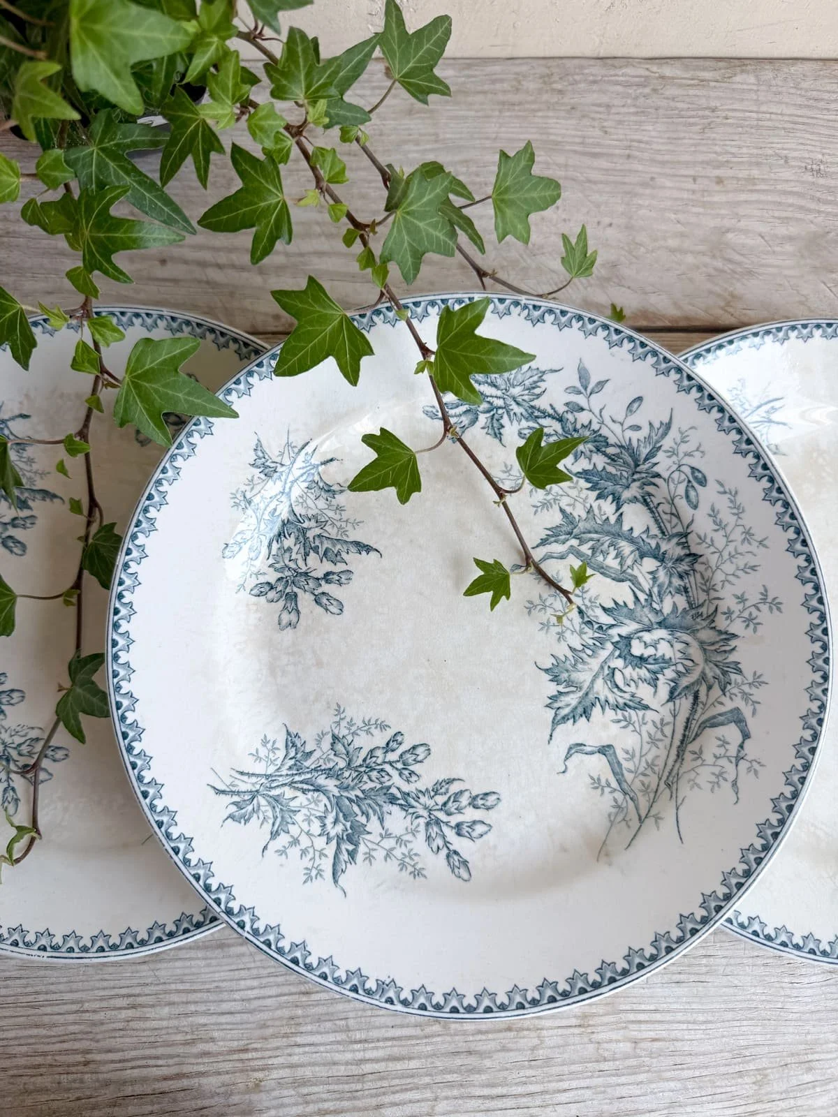 Antique French Faience Blue Fruits Pattern Terre de Fer Plates